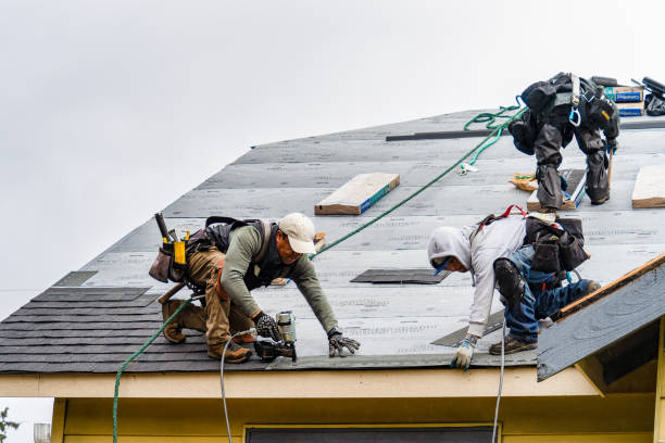 Professional Gutter Installation technician working in Dansville, NY
